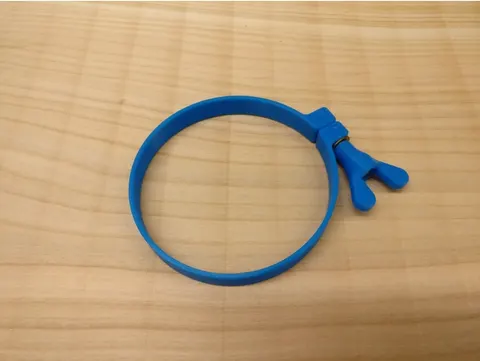 Hose Clamp