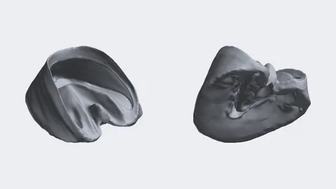 Two renders of a 3D-printed life-size hollow horse hoof model, seen from above and from the sole side