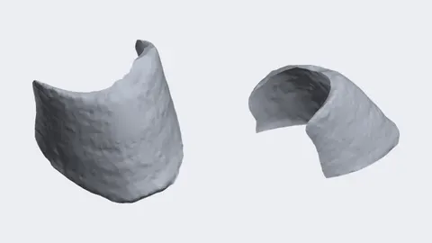 Two renders of a 3D-printed life-size horse hoof wall, open at the heel